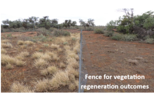 Projects - developing enclosures for regeneration