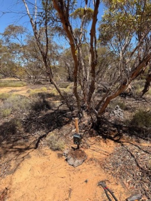 2026 Fox Baiting CPE program