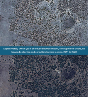 Visual difference from reduction of human impacts - 2011 to 2023 - credit on-line maps ( B Smith)