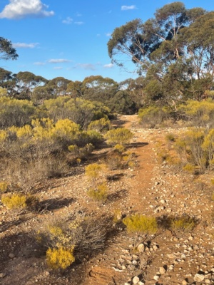 Rehabilitating roads