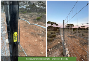 Establish Enclosures