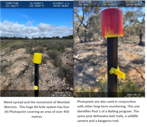 Example of Photo point - Warren movement, weed spread and Baiting lines