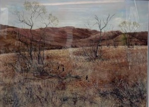 Dry year below Goyders Line 1970's
