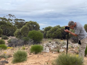 Setting up Photo Points