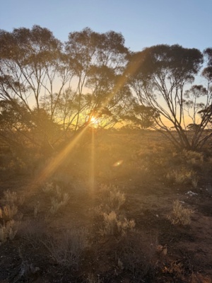 Sunset evening Jan 2nd