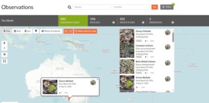 using iNaturalist