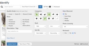 Filters to search on iNat