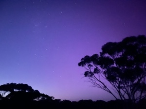Aurora 14 October 2024 from 16:6