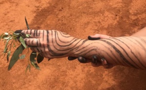 Twist in Nature
