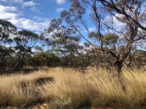 Early May heritage land