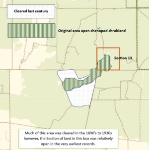 Section 13  open shrubland areas