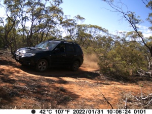 Security cameras detecting vehicle movement