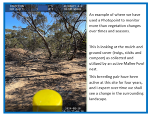 Using a photo point to monitor animal impacts