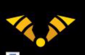 Logo Anna bat