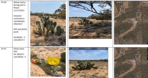 Mapping and GPS of weed incursion
