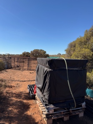 Goat trap 2026 Establish water