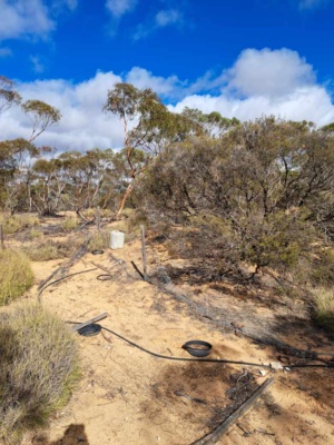 Human impacts - cultivation site 