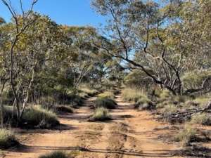 Back Track to 226