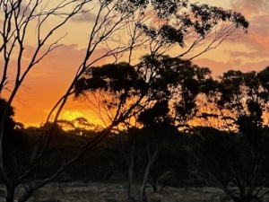 Sunset