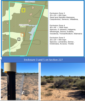 Vegetation mapping Sect 227 - fenced enclosures