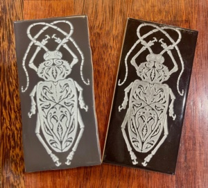 developing products and icon items