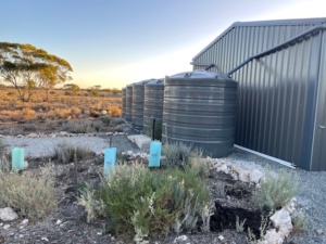 Shed and water supply