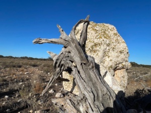Art or environment - creativity