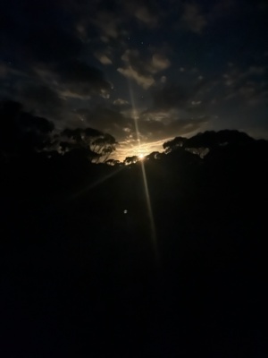 Moon rise