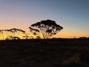 Evening 14 February  - Valentine Day in a beautiful place