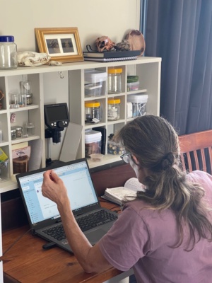 working in comfort at base camp