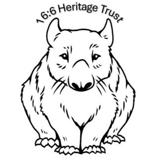 our 16 6 logo