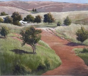 David Dridan - Hills track Murraylands - spring