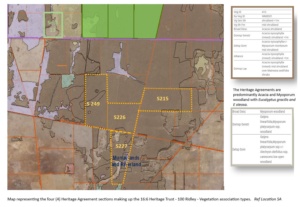 Native vegetation types