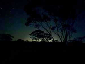 evening sky 16;6 February 2026 11 pm