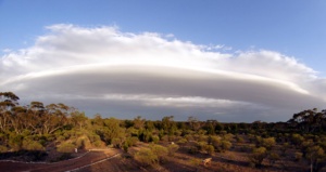 Ellura sanctuary - Credit image Brett Smith