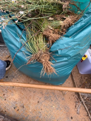 removal from the site