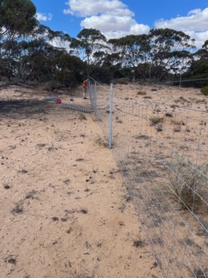 Fencing exclusion