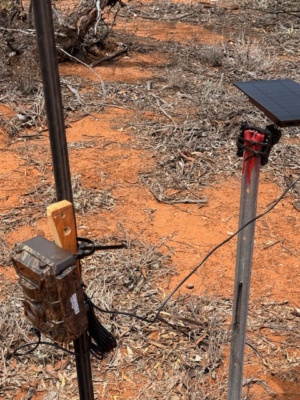 New solar powered cameras - for the CPE and Goat program