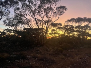 Sunrise 
