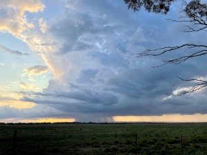 Evening storm 