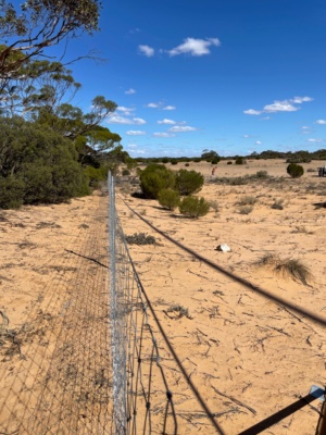 Exclusion fencing for Rabbits and Hares