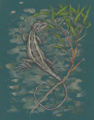 Katie Dridan  - camp site Nobbi Dragon