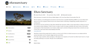 Screen cut from the i Naturalist web site - Ellura's page
