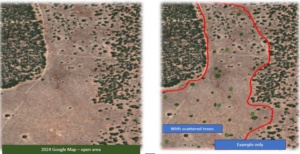 scattered tree example