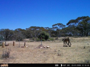 remote camera point in time