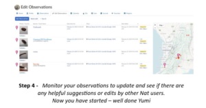 review and verify