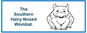 header for Blog on Wombats