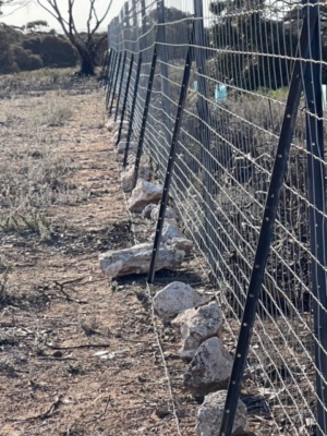 Fencing exclusion zone