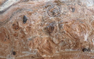 Mineral magic - rain on dry earth