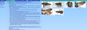 Ellura's web site with educational information